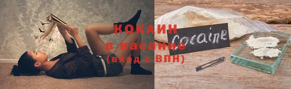 гашик Михайлов